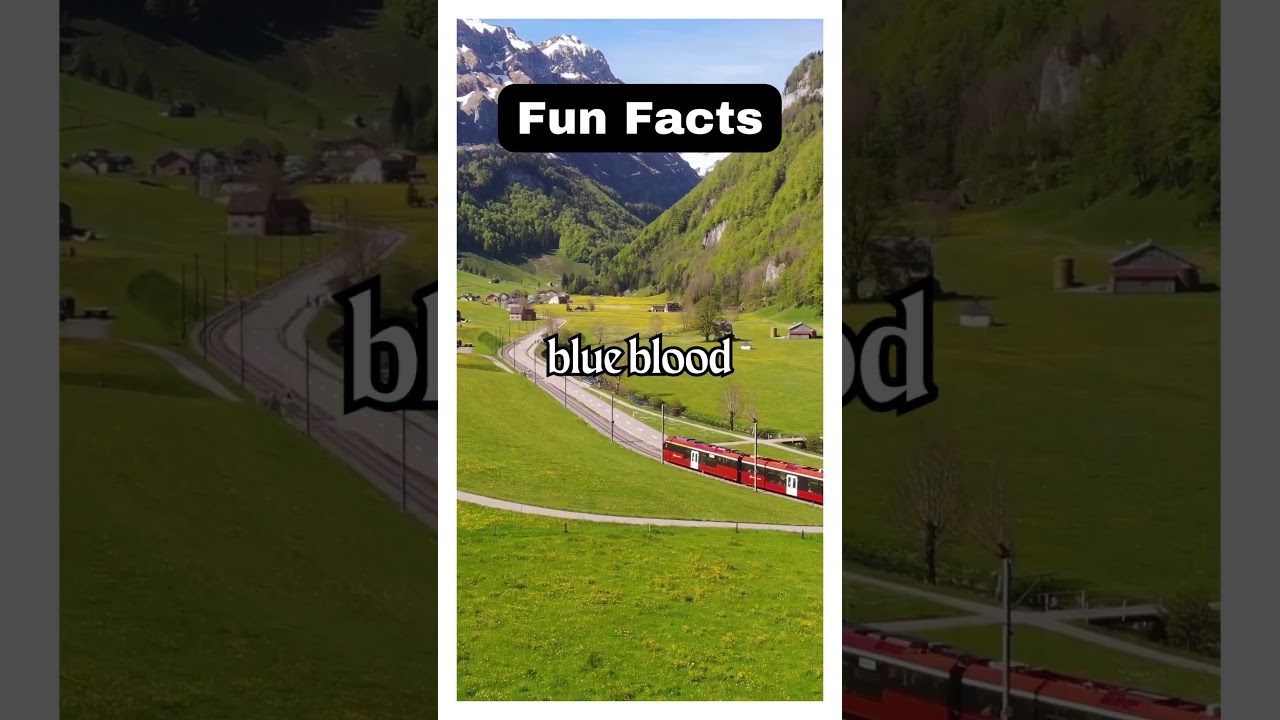 Quick Byte Chronicles: Fun Facts, Hacks, and Handy Tips! #funfacts #shorts #animalfacts