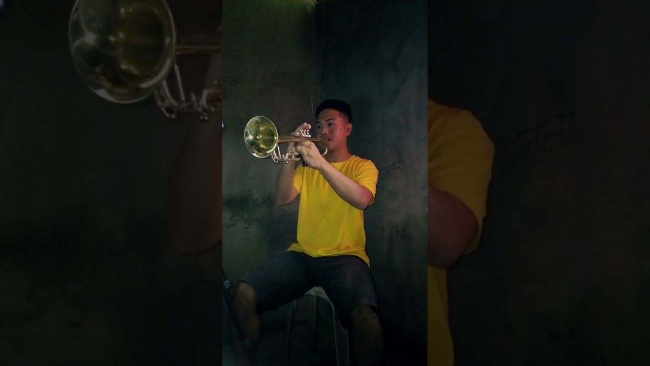 Opalite - Taylor Swift || Trumpet Song Cover 🎺