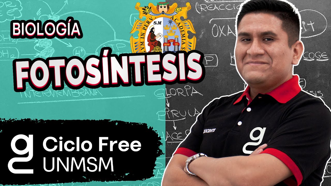 BIOLOGÍA - Fotosíntesis [CICLO FREE]