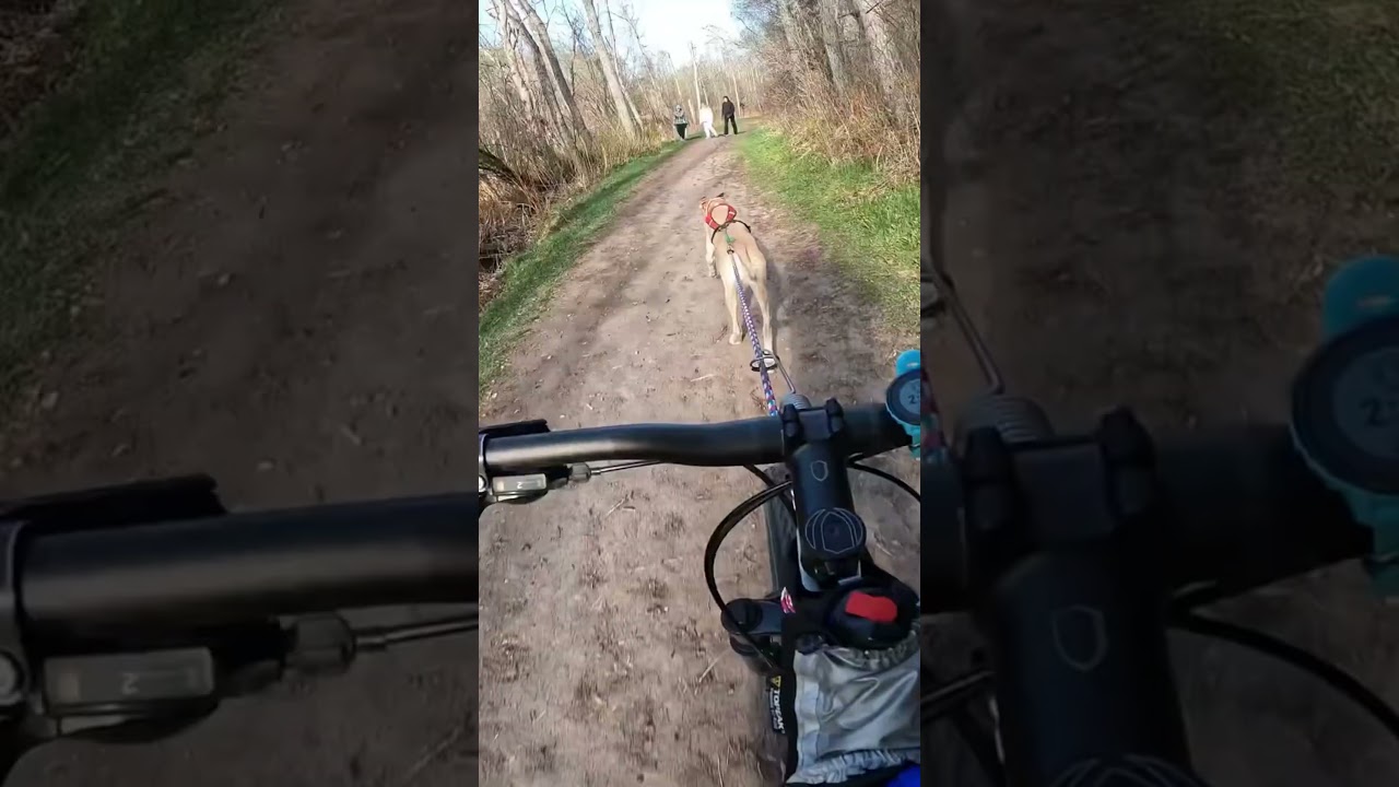 Passing Some Walkers on the Trail  