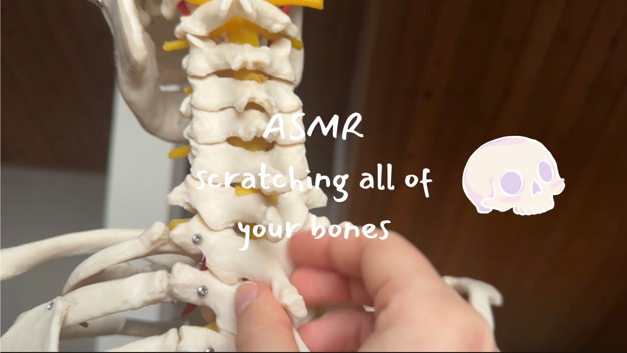 scratching ALL of your bones FAST 🦴🩻 lofi asmr 💤