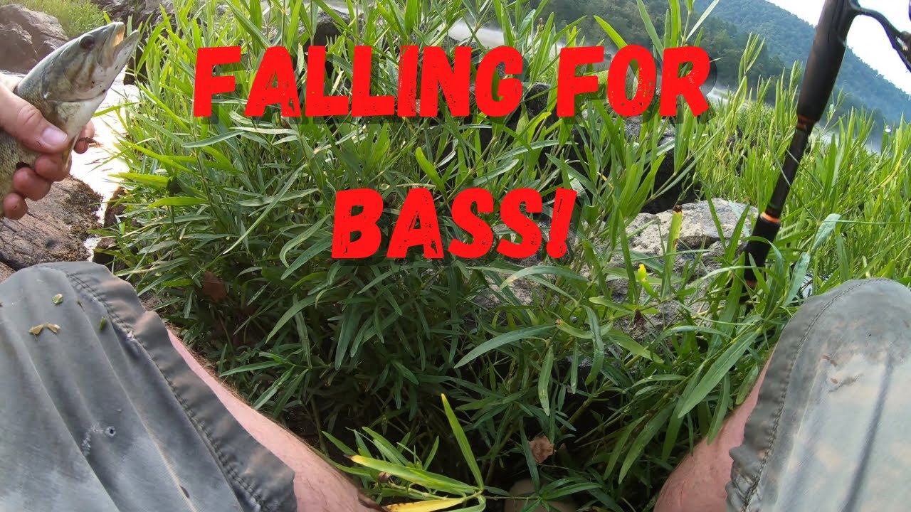 Fishing beautiful Broken Bow lake up in the Mountain Fork! catching multiple species.