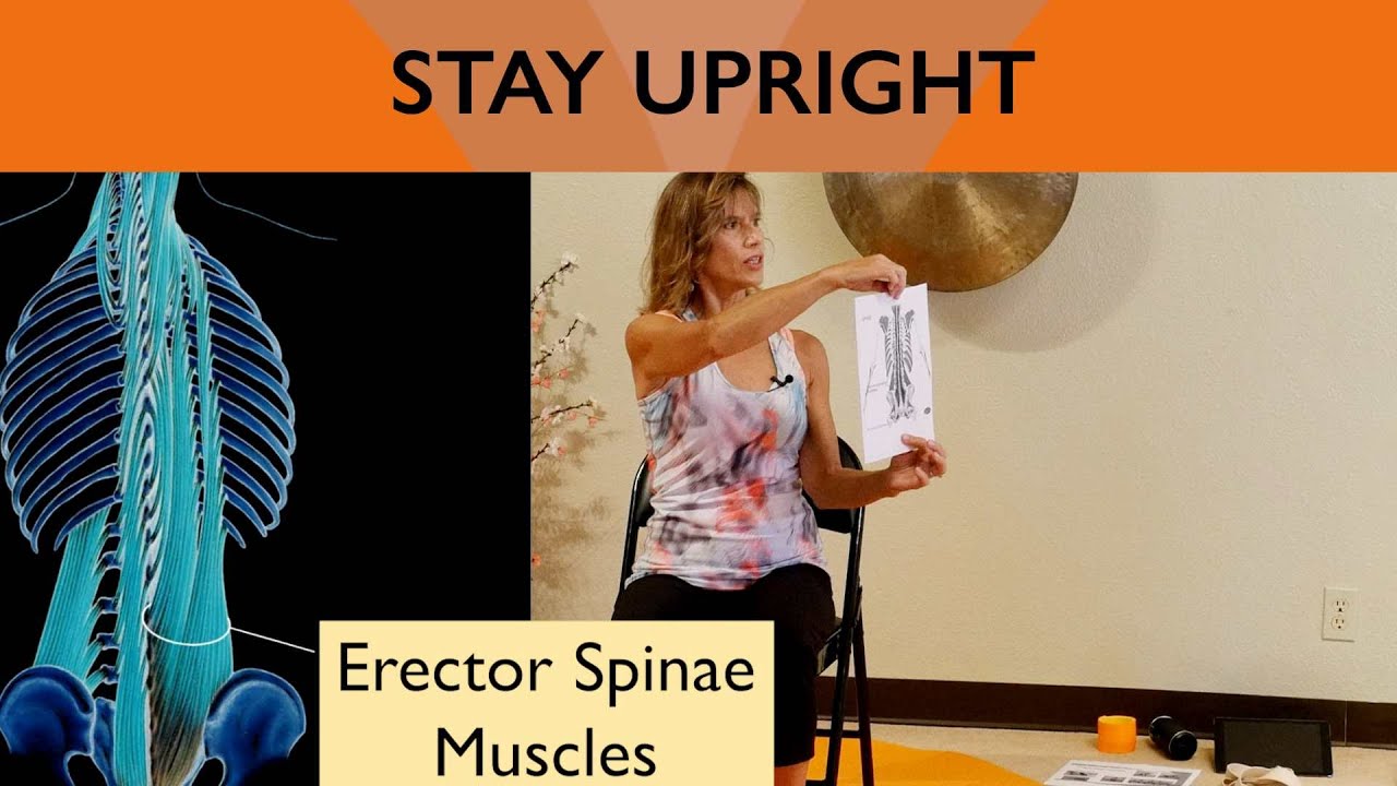 Spinal Strength Tutorial – Improve Posture & Stability – Chair Yoga with Sherry Zak Morris, C-IAYT