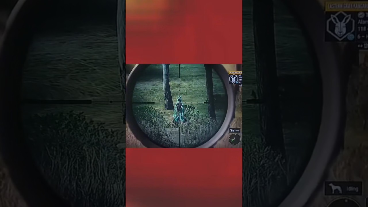kill Compilation. call of the wild 