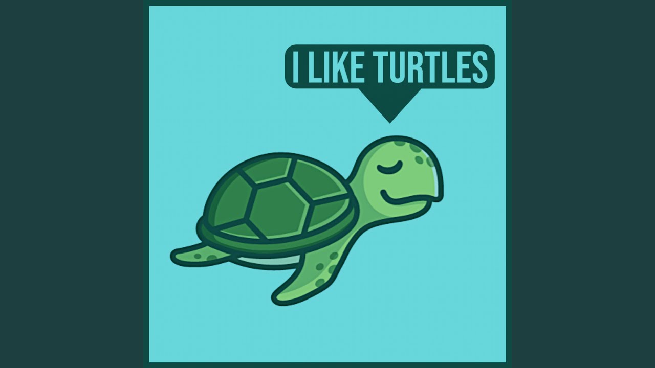 I Like Turtles