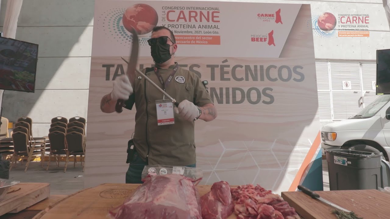 Congreso Int de la Carne y Proteína Animal 2021-Videomemoria