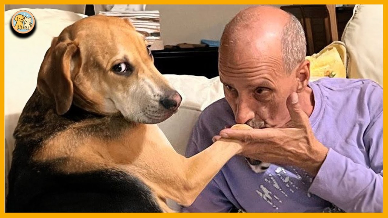 When Your Dog Is Being the Sweetest and Polite Little Gentleman! 🐶Cute Dog Videos
