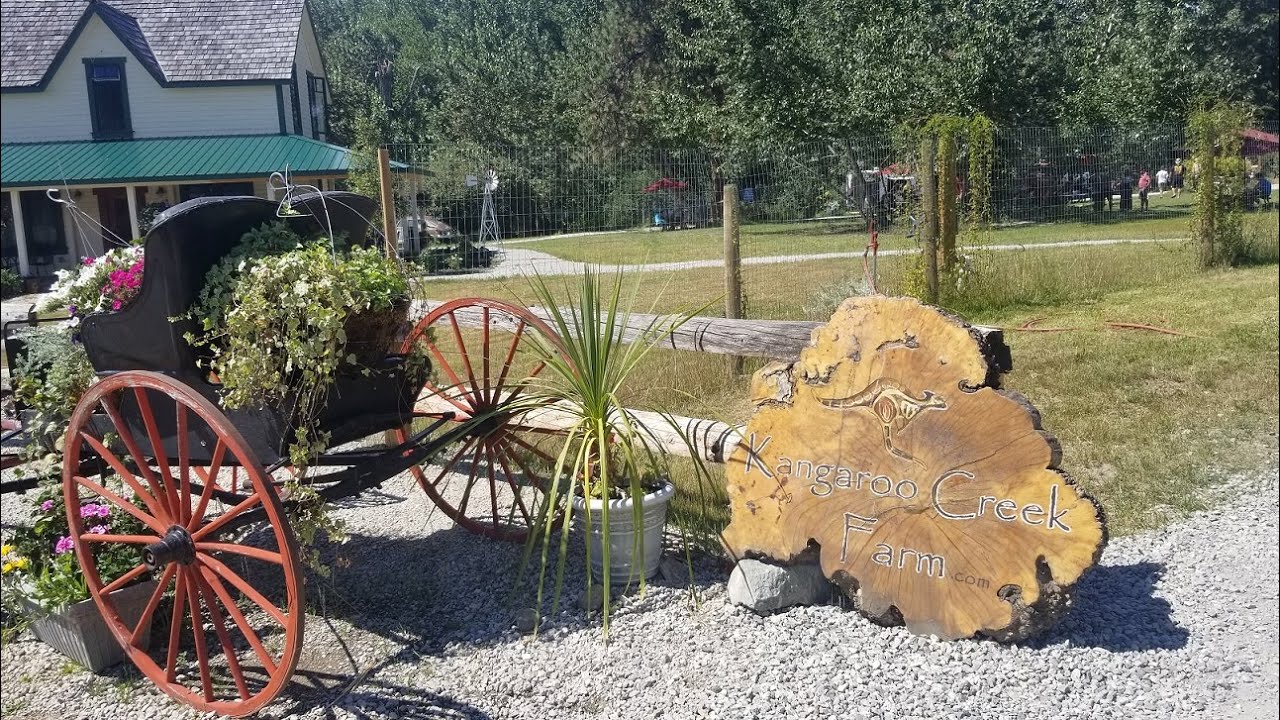 Beautiful Kelowna-Kangaroo Creek Farm/Part 1.مدينة كيلونا الكندية.اجابة على بعض الأسئلة و اقتراحاتكم