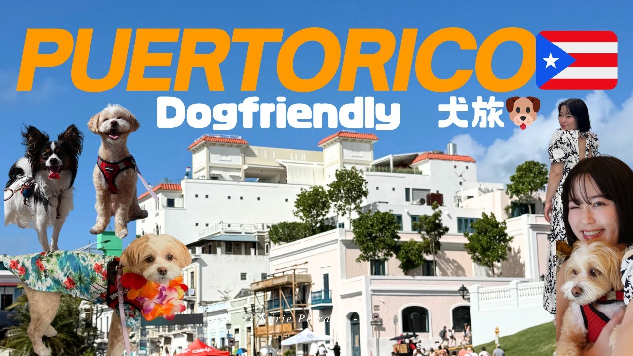 【VLOG】実はNYからすぐ！犬連れOKなPuerto Ricoの映えすぎる街並み🫶