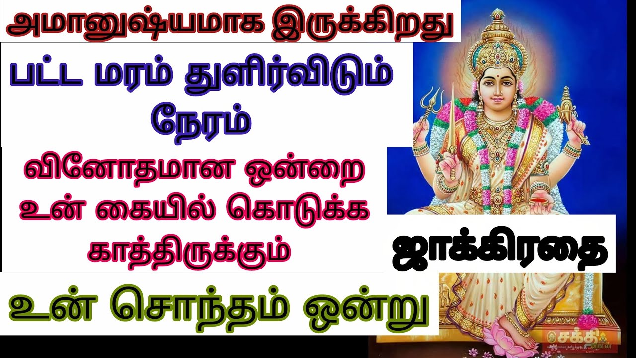 உன்சொந்தம் என்ன செய்துவிட்டது தெரியுமாகேள் இப்போதாவது உன் பெற்றதாய் சொன்னது நினைவுவருகிறதா என்றுபார்