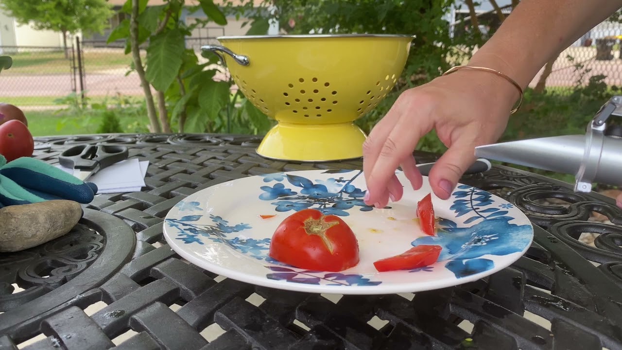 The 12th Tomato Taste Test of the 2023 Series - Dwarf Stone - Much More to Come