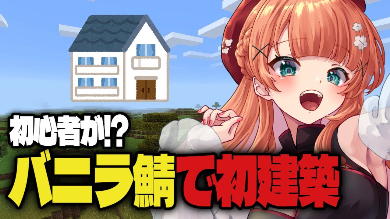 【 Minecraft】夜更かししながらマイクラ【初建築 】