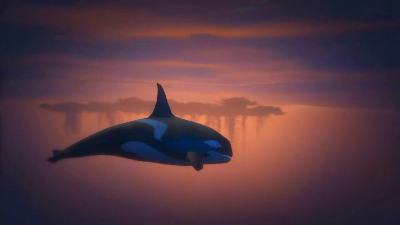 Sebastian Lightfoot - Fiesta Tropical, reggae song Official animated instrumental music video