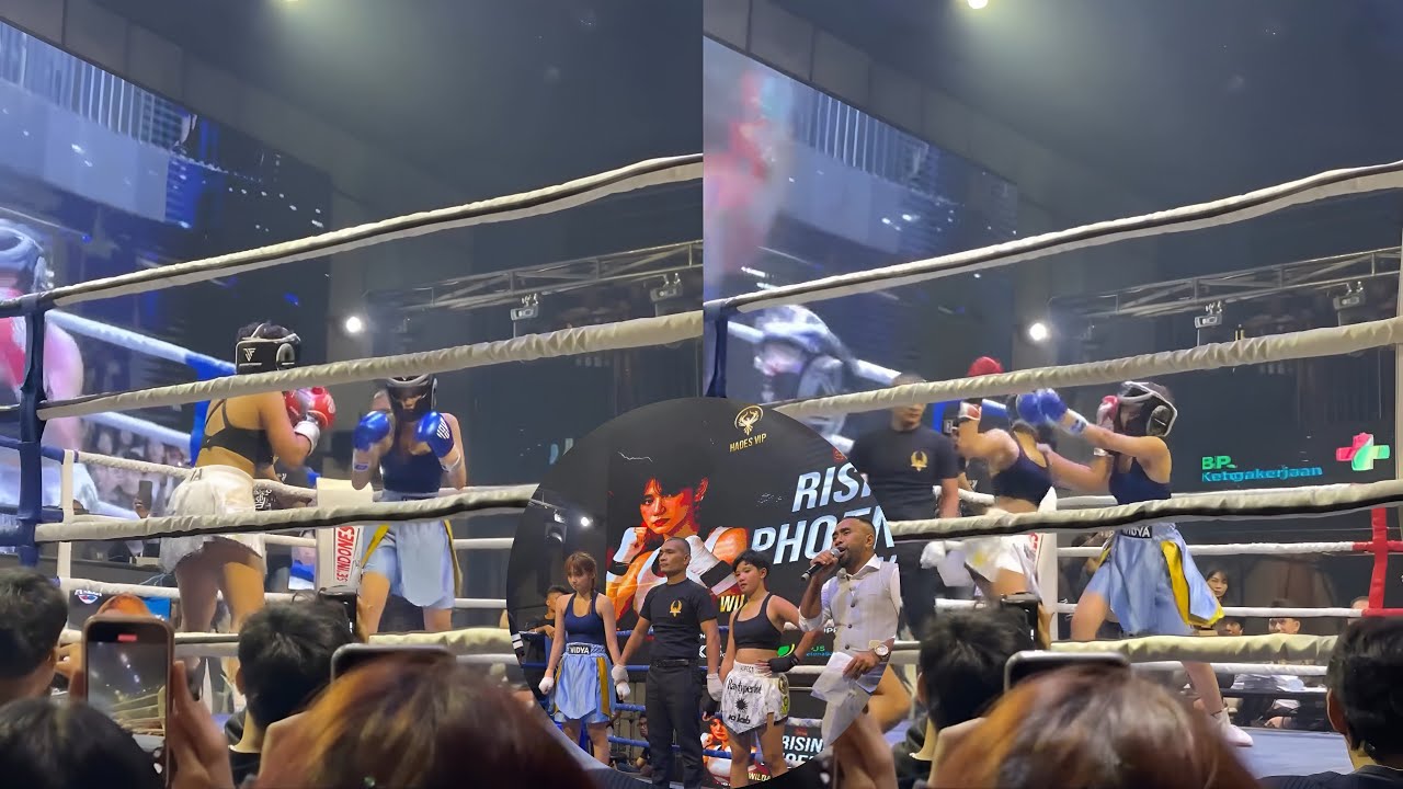 KERAS! BRUT4L‼️WILDA VS WIDYA BOXING INFLUENCER PHOENIX COMBAT SPORT 2