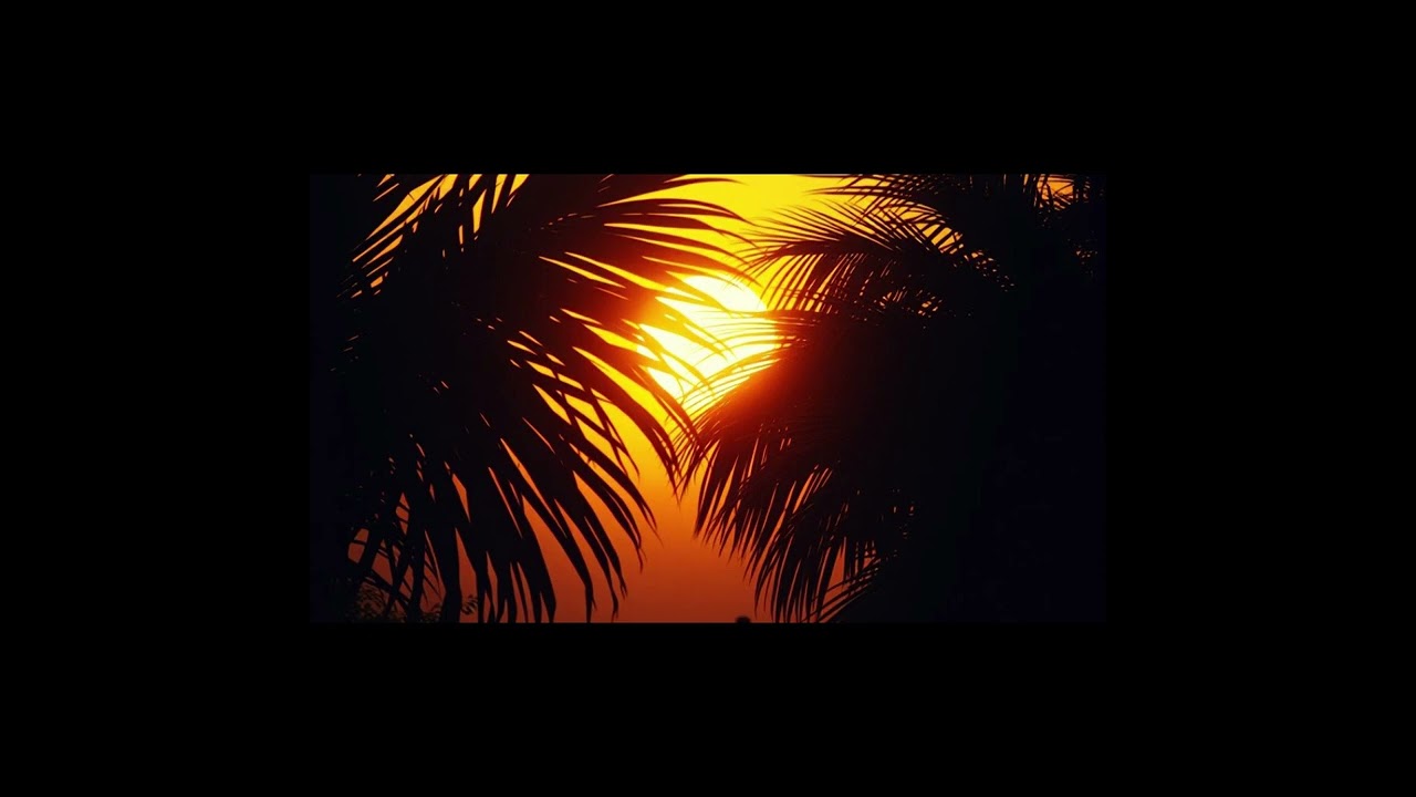 Molux - African Sunset