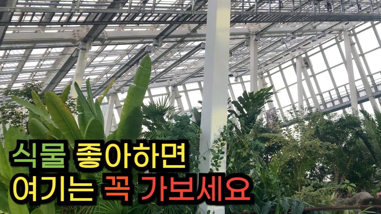 언제가도 실패없는 수도권 도심 속 온실 식물 투어