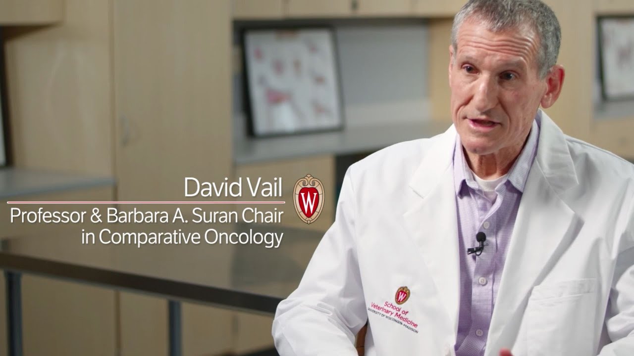 Behind Scout&rsquo;s Treatment: Comparative Oncology