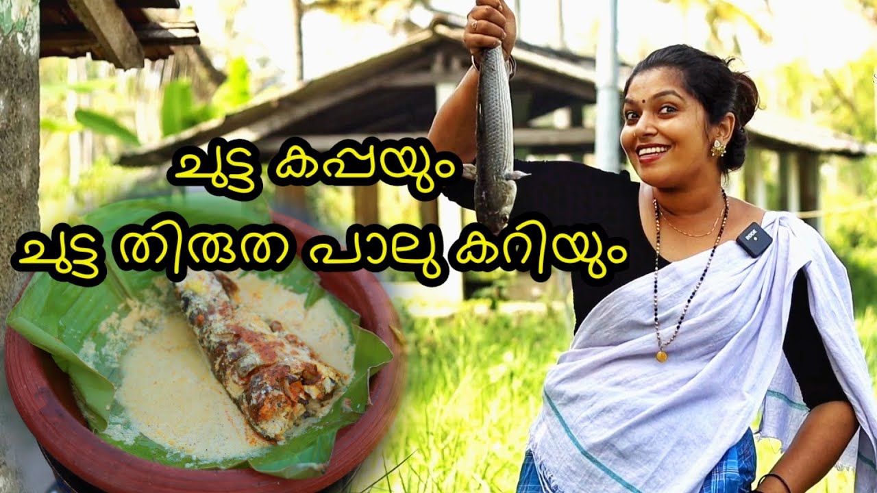 ചുട്ട കപ്പയും കുമ്പളങ്ങി തിരുത പാലുകറിയും 🤤🤤||greymullet ||villagecooking ||smeesworld||fish