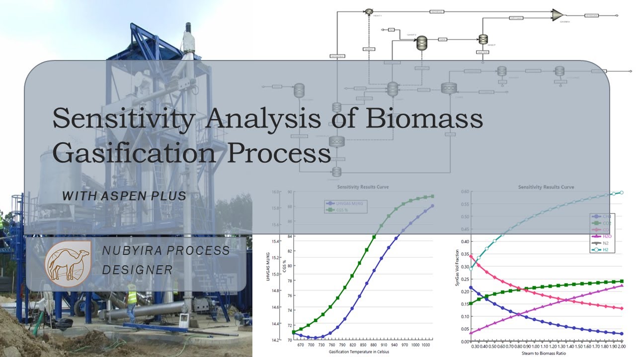 Sensitivity Analysis of Biomass Gasification Process with Aspen Plus