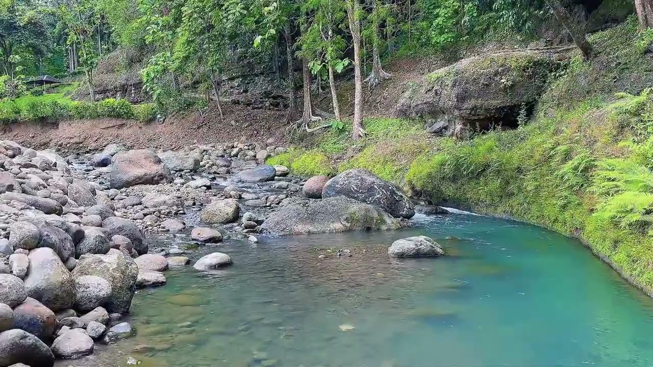 Tranquil River in Tropical Forest for Deep Sleep & Relaxation full 5 hours