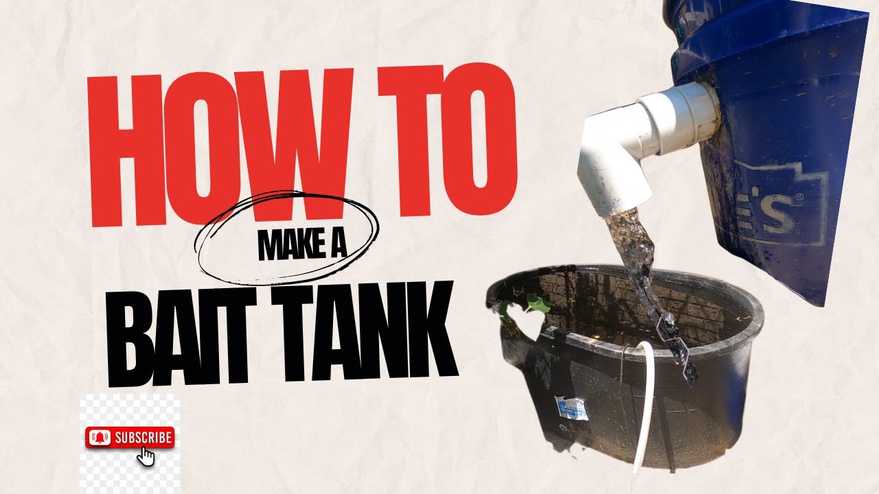 «Простая и доступная установка аквариума для наживки для всех видов рыб»