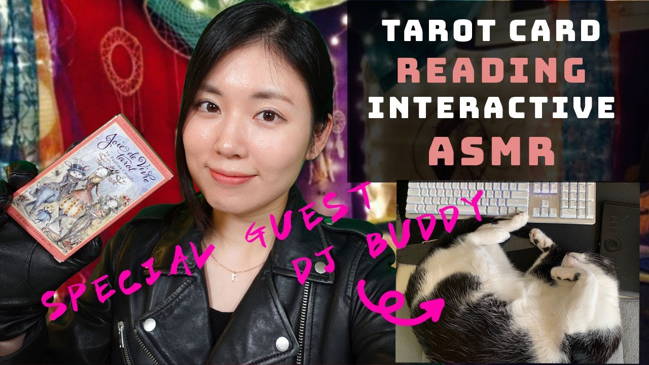 ASMR gloves interactive tarot card reading |Cat purring, leather jacket, leather gloves, soft spoken