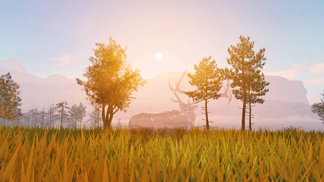 Wandering 
