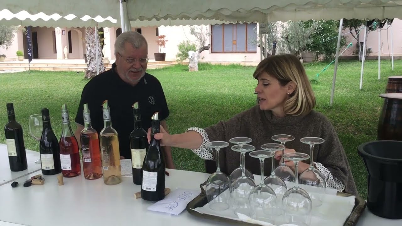 Commentaires sur la dégustation avec la directrice du domaine Shadrapa en Tunisie