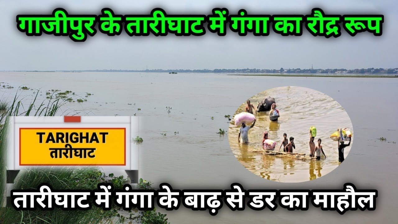 गाजीपुर के तारीघाट में गंगा का रौद्र रूप/ तारीघाट में गंगा के बाढ़ से डर का माहौल #gangaflood