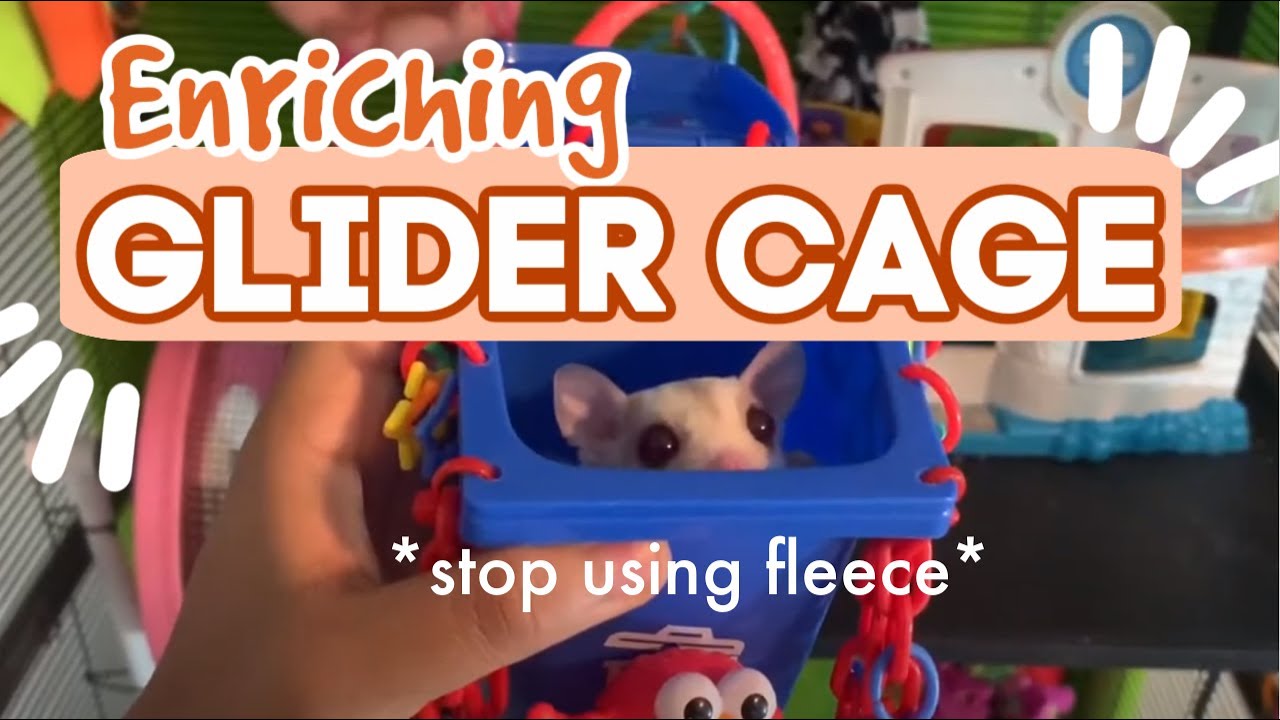 SUGAR GLIDER CAGE MISTAKES|stop using only fleece| cage setup & tour | My Pawfect Family