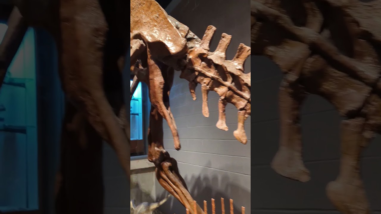 Jurassic Park skeleton dinosaur bones