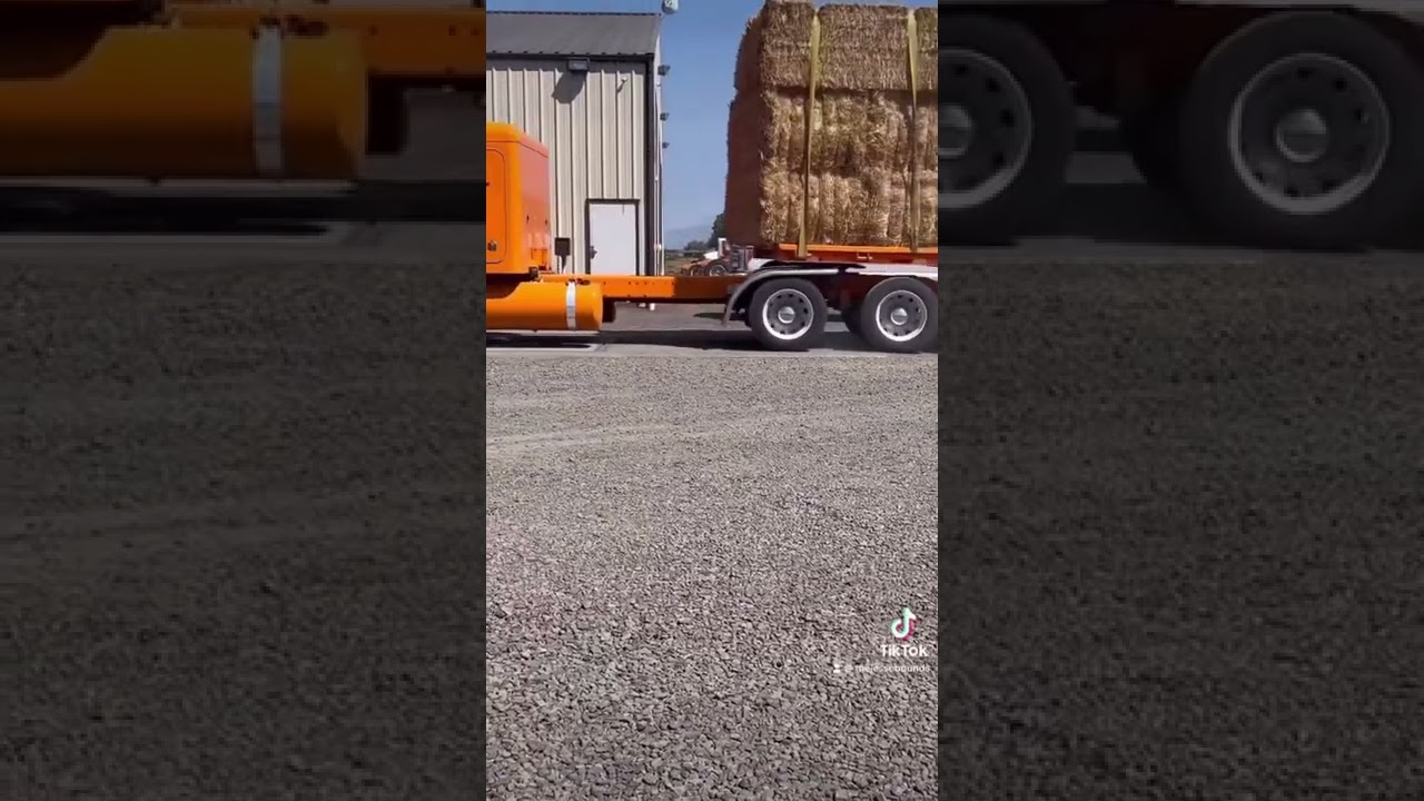 Flatbed straw hauling from field to hay press Jesse Bounds Trucking #flatbed #trucking #barn #hay