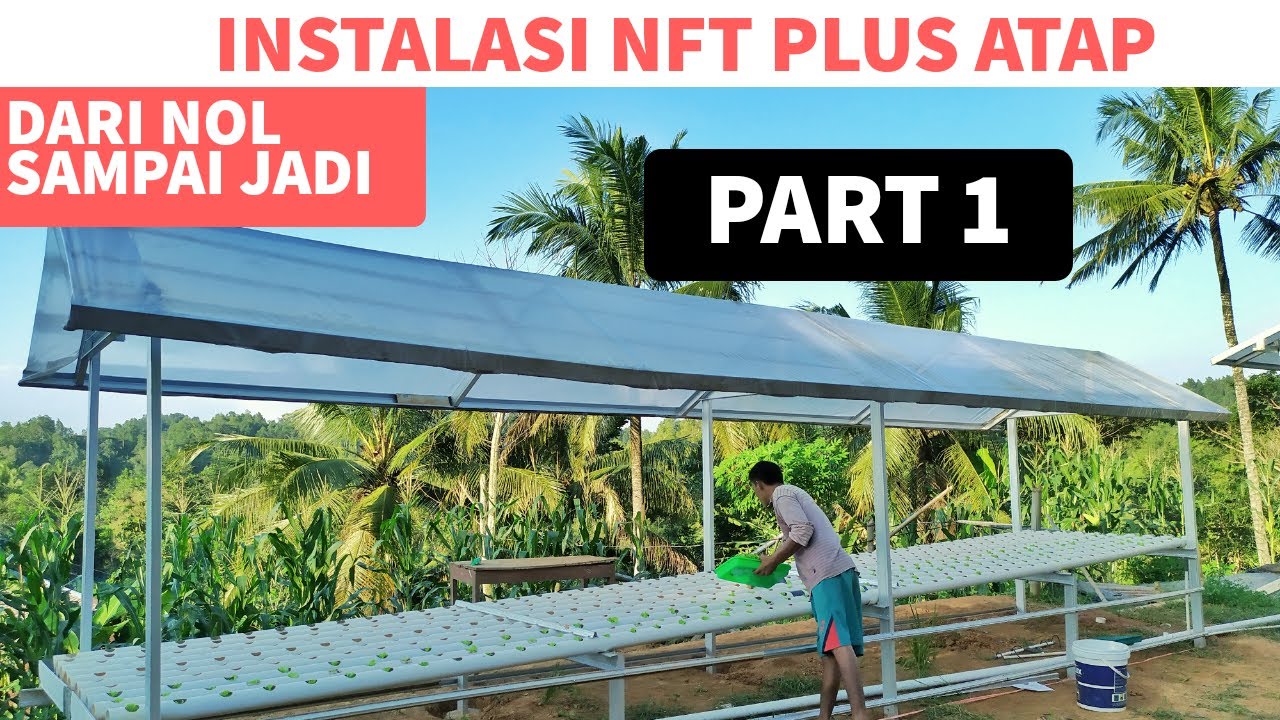 Tutorial lengkap cara membuat instalasi hidroponik sistem nft dengan atap PART 1