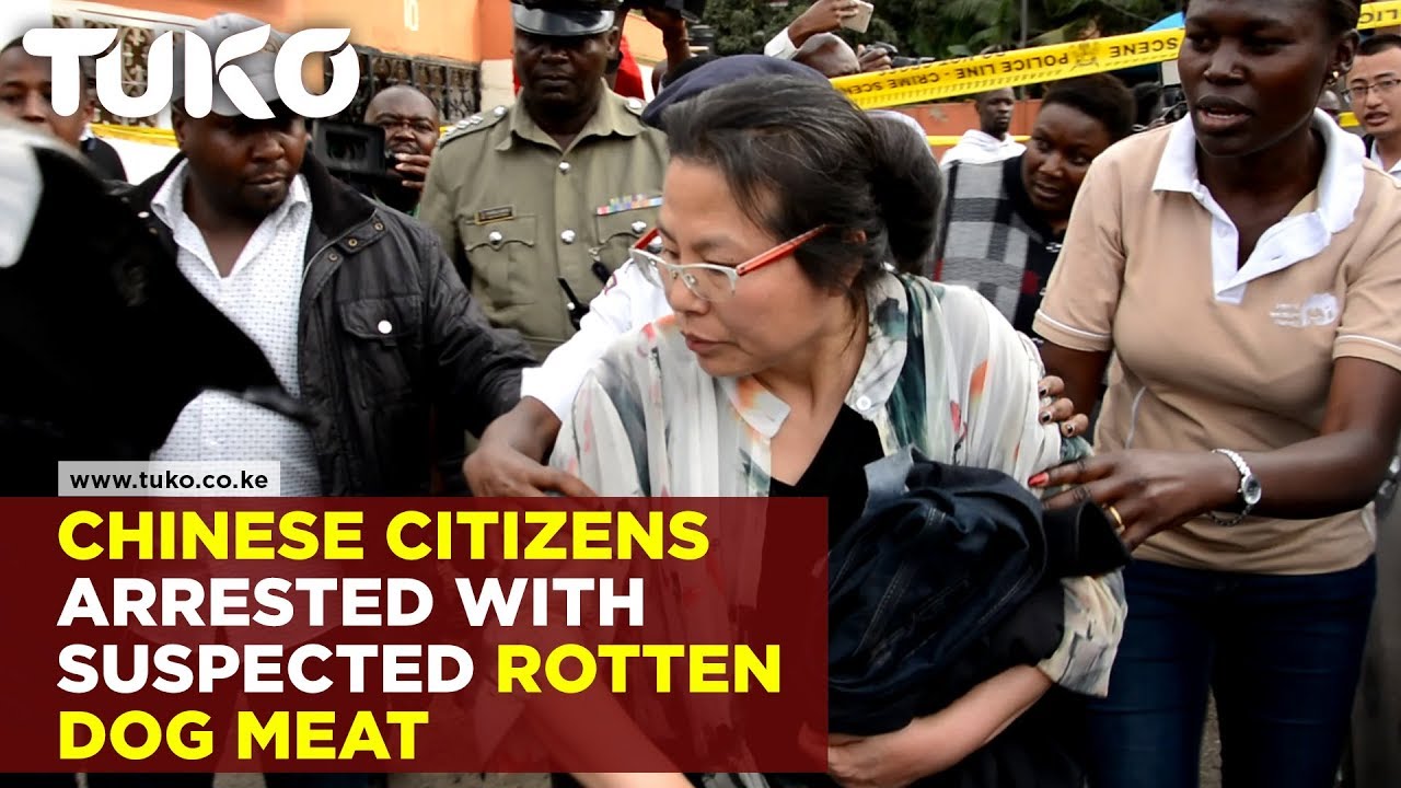 Chinese Nationals arrested with ivory, leopard skins, and suspected dog meat | Tuko TV
