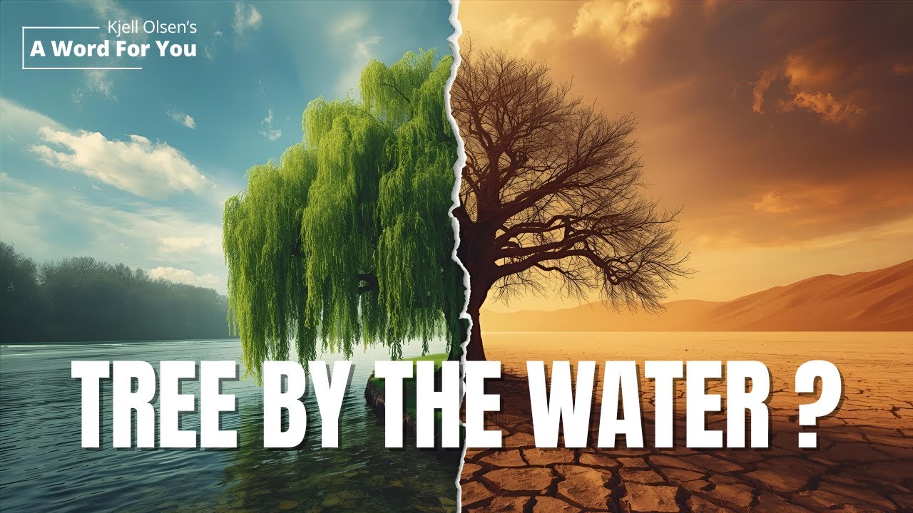 A Tree Planted by the Water