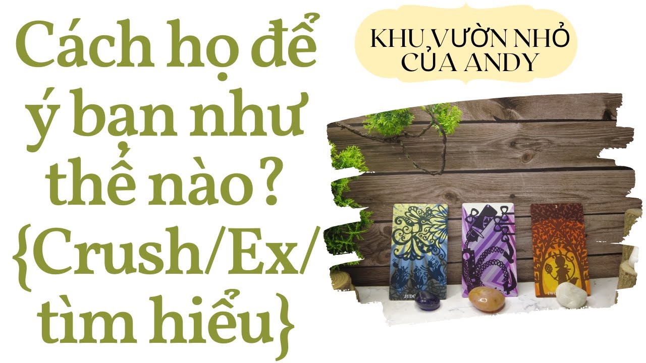 Cách họ để ý bạn như thế nào? {Crush/Ex/Đang tìm hiểu} | Chọn 1 tụ bài | Xem tarot