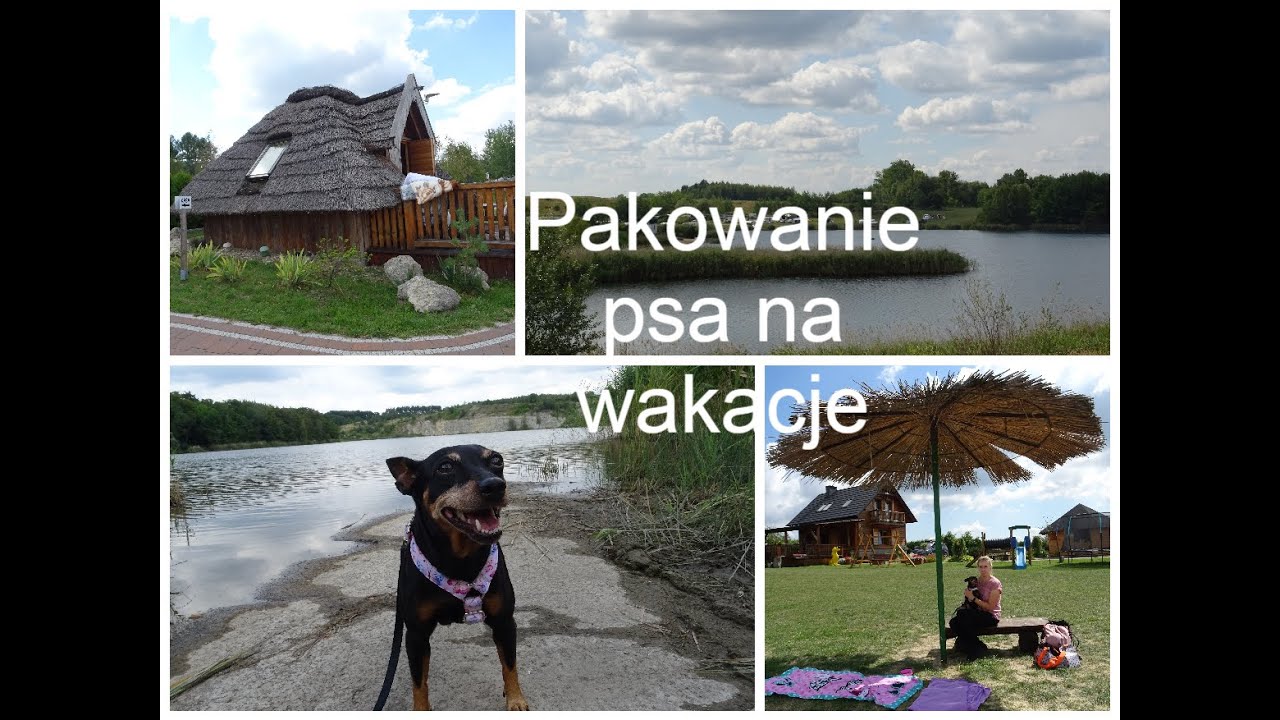 Wyjazd z psem na wakacje  nad zalew Podkowa w Gackach