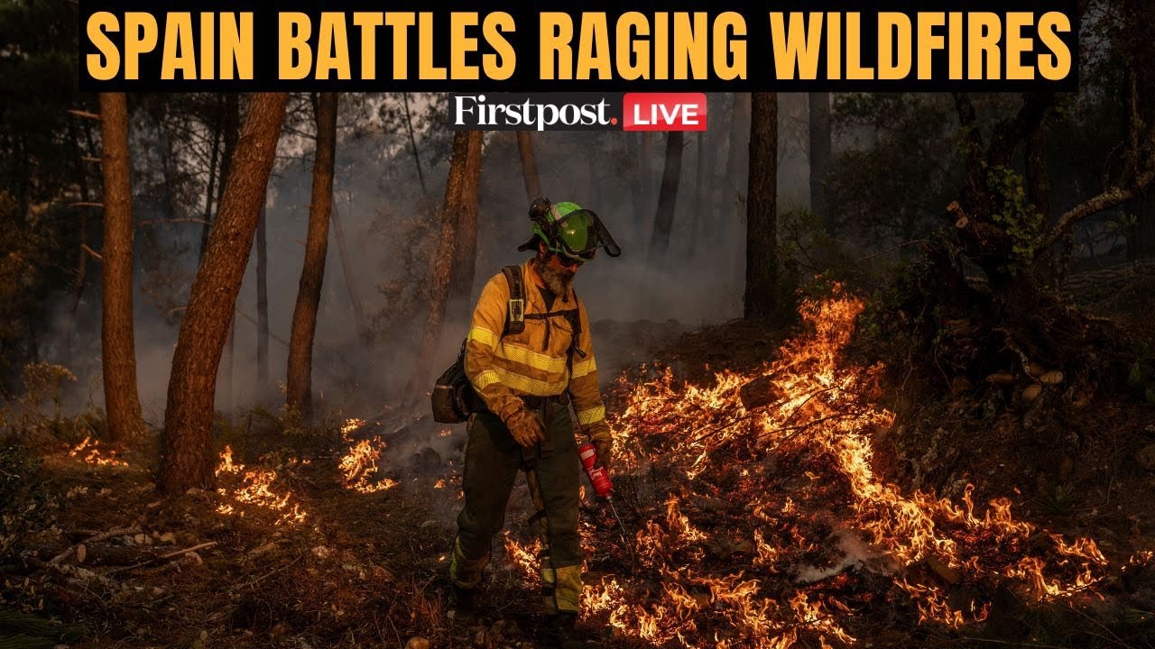 LIVE: Spain Wildfires Rage, 500 More Troops Deployed | Europe Battles Wildfire