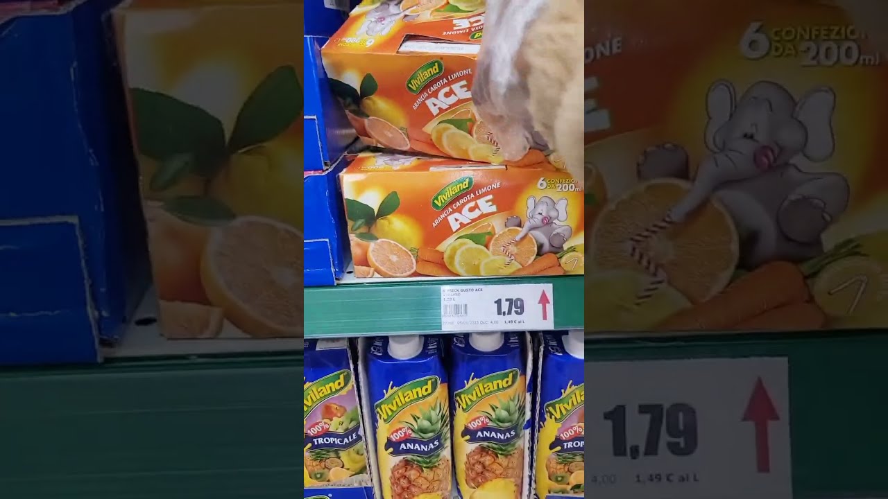 The Best And Cheapest Supermarket in Italy