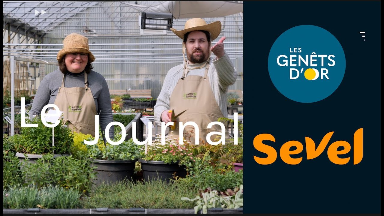Le journal des Genêts d'Or et de Sevel - Février 2025