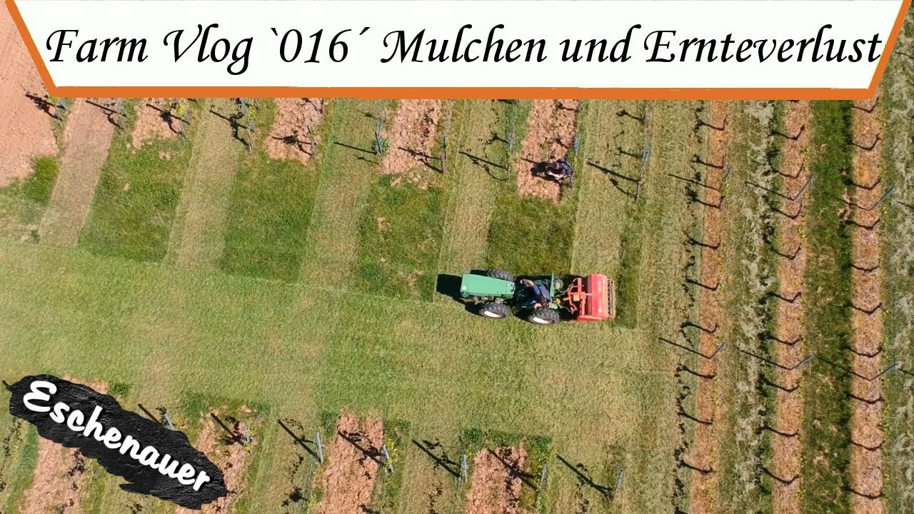 Farm Vlog `016´ - Holder A45 Mulchen, Staub und Ernteverlust!! - [Eschenauer]