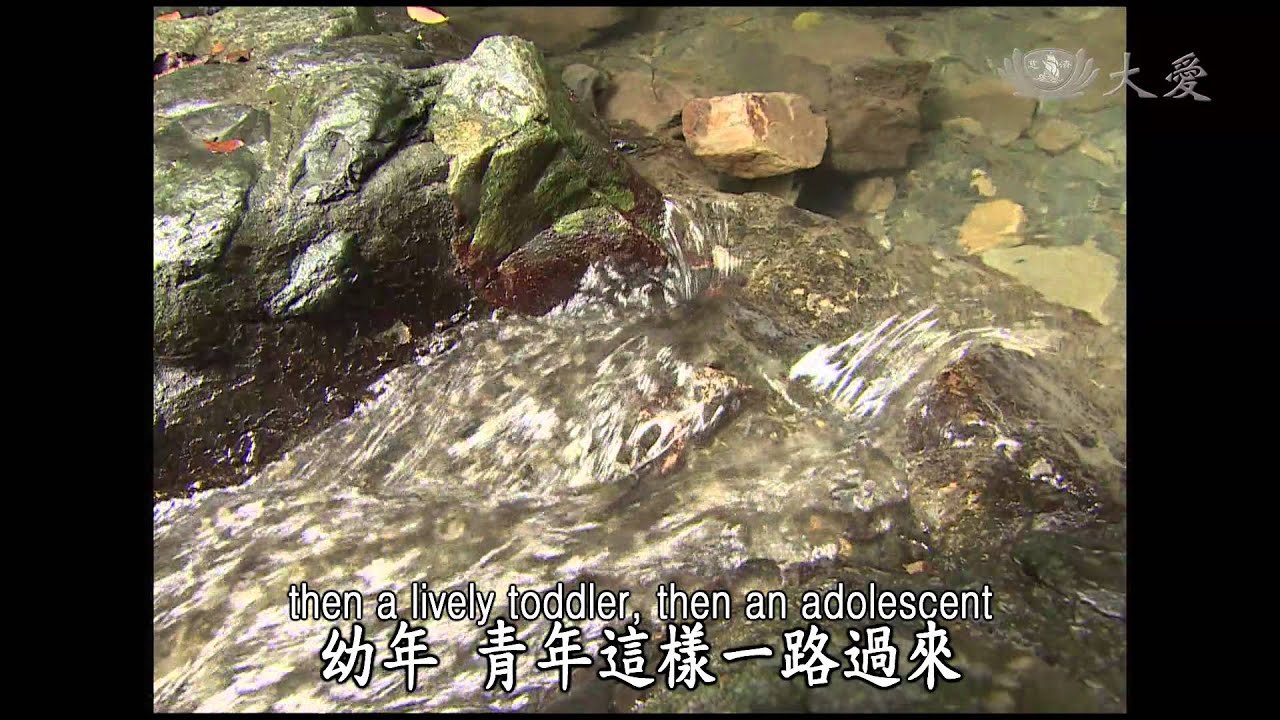 【證嚴法師菩提心要】20140503 - 大愛面對無常苦空 - 八大人覺經淺釋(二) - 第672集