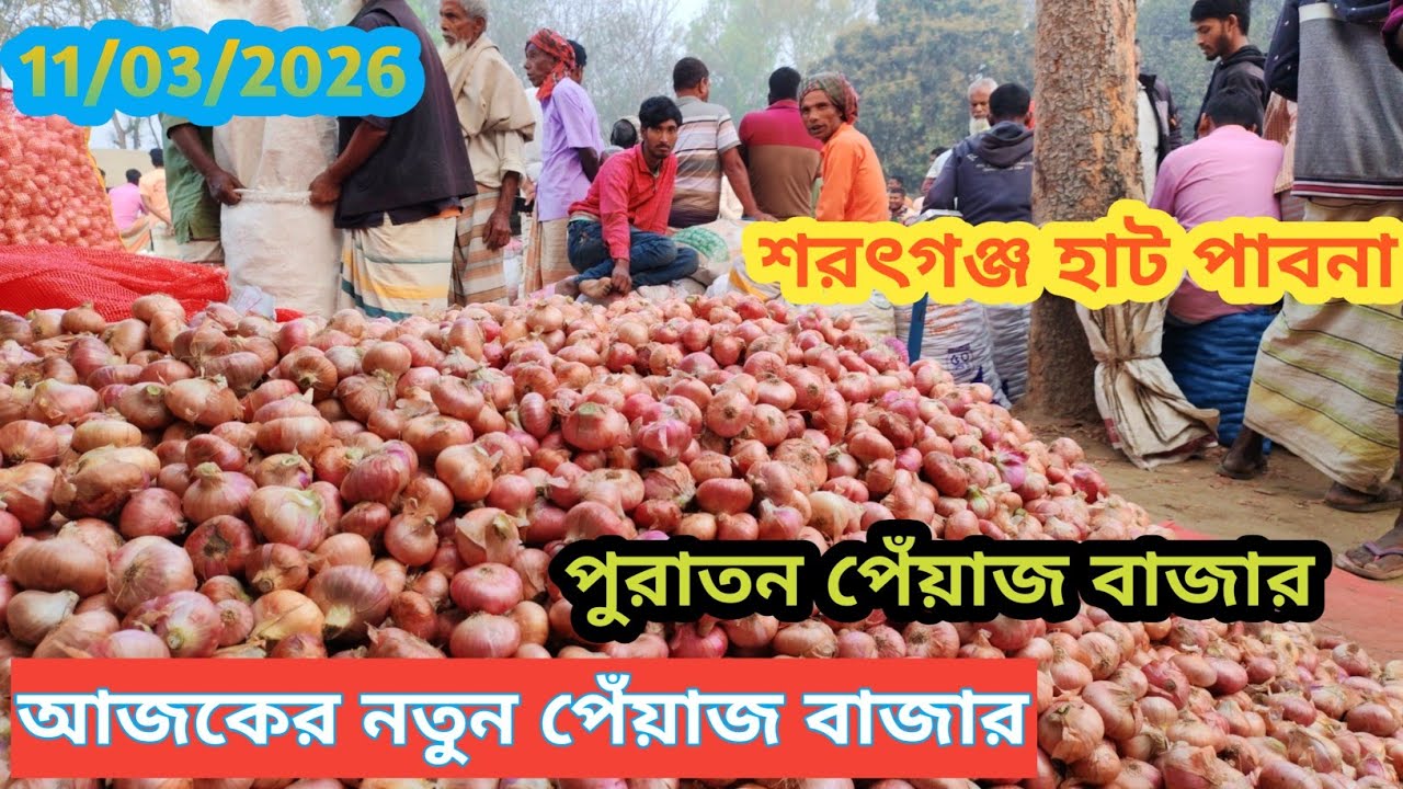 11 March 2026 আজকের নতুন পেঁয়াজের বাজার দর। আজকের মুড়ি কাটার বাজার দর। Onion market price rate 