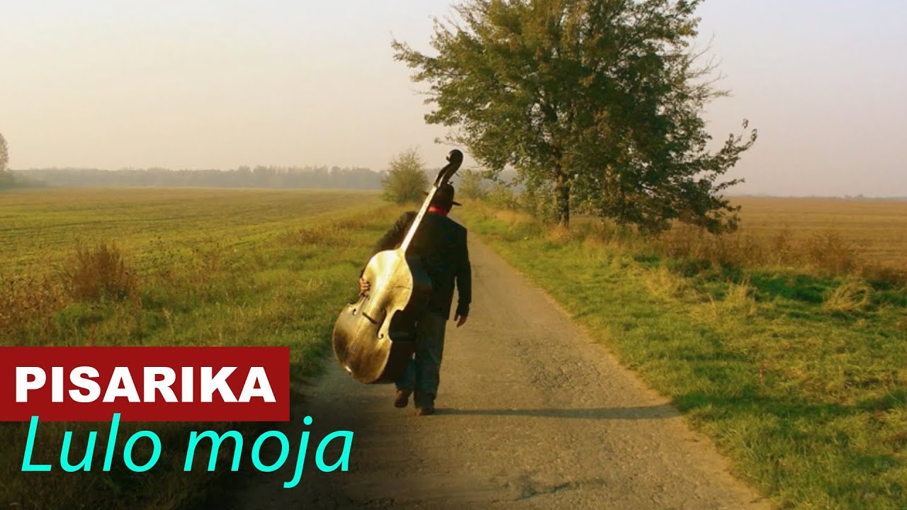Pisarika - Lulo Moja - Vojvodina Music Official