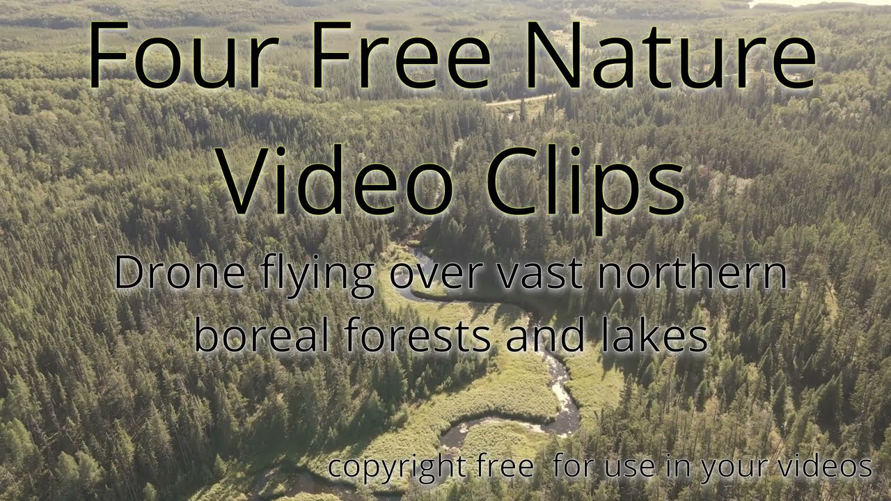 Experience stunning 4K nature from the air while moving over meandering beaver creeks