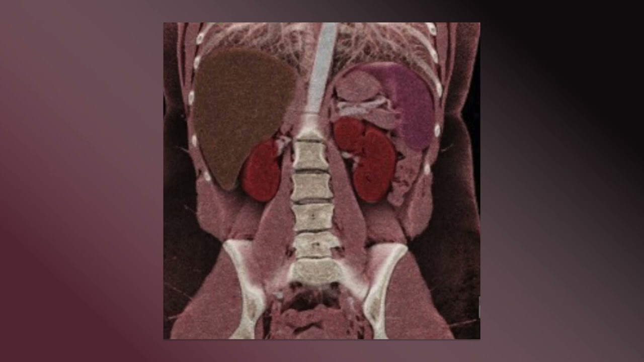 Sorry Mom - Shaving My Legs (Official Audio)