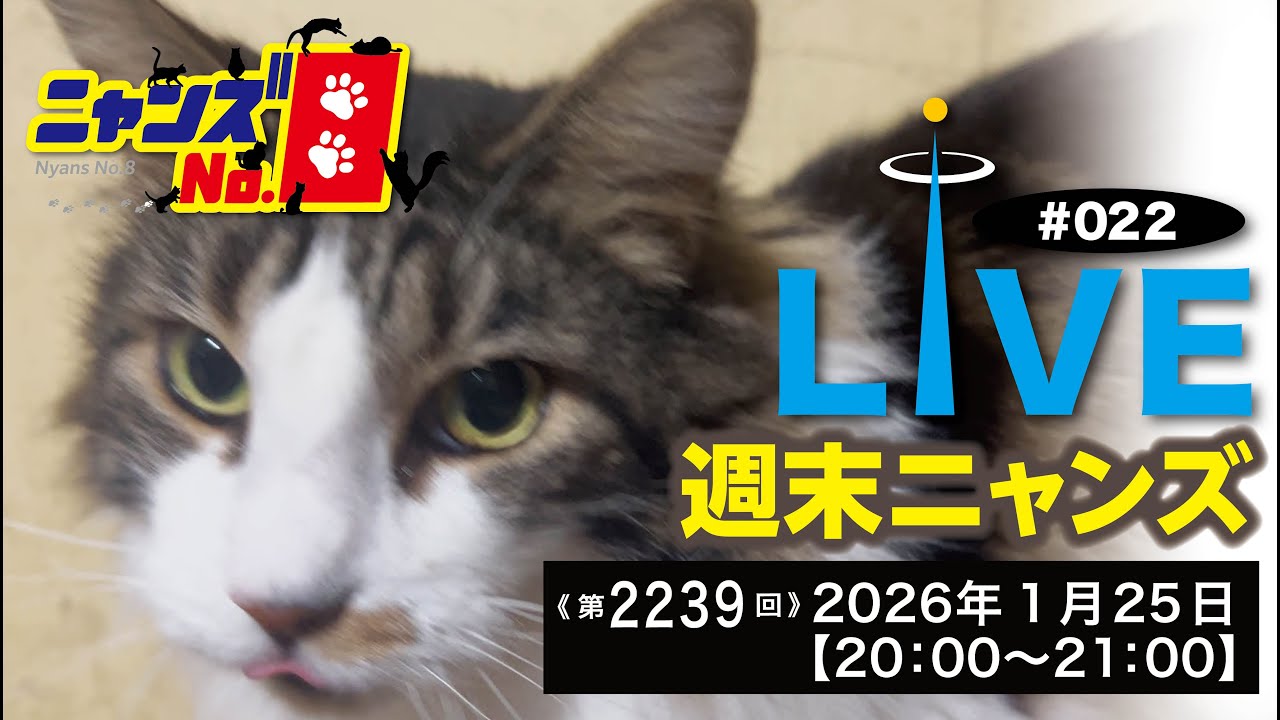《第2239回》LIVE#022　週末ニャンズ　ライブ