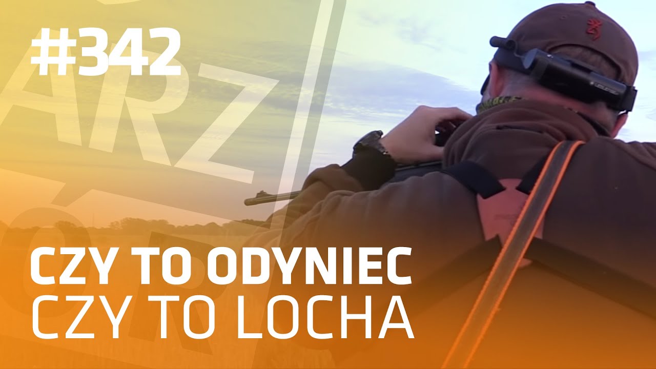 Darz Bór odc 342 - Czy to odyniec czy to locha