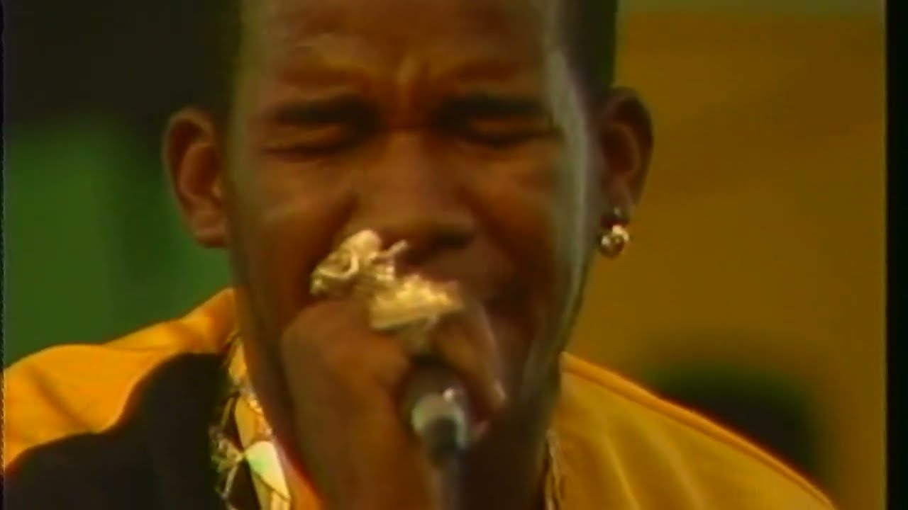 Pinchers, Papa San, Lady G, Tiger (1989 SunSplash clip)
