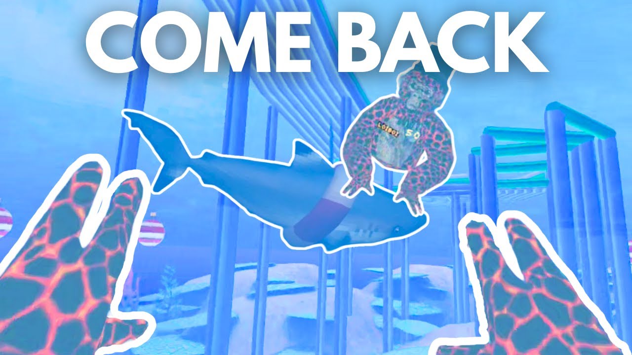 We Forgot to Play the Game Because of a Shark